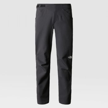 Мужские брюки The North Face Winter Pant